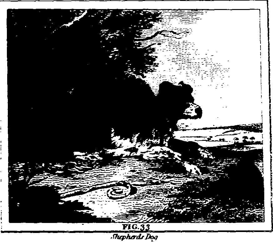 025/025430010503310_0.png