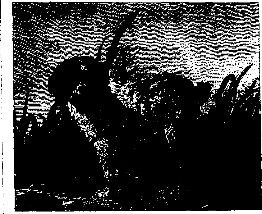 025/025430010503360_0.png