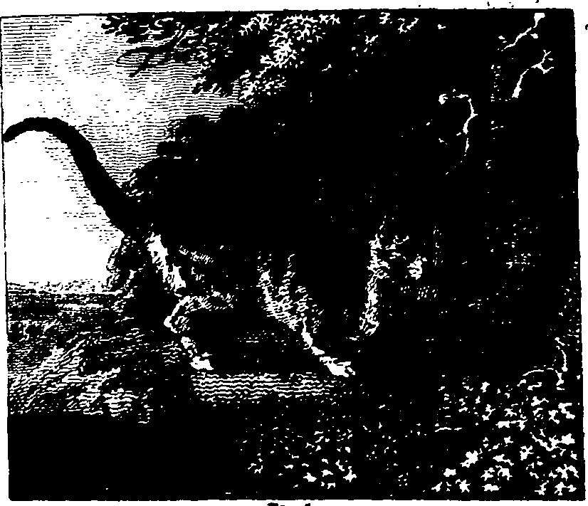 025/025430010600120_2.png