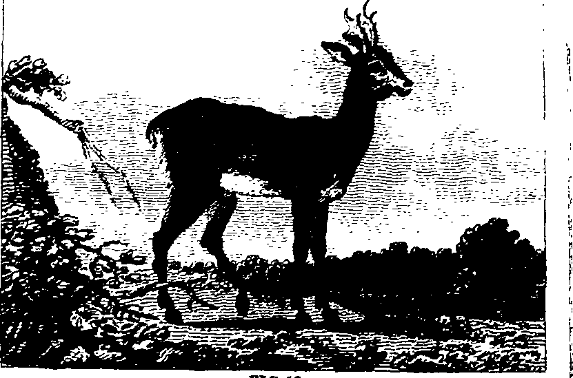025/025430010601140_1.png