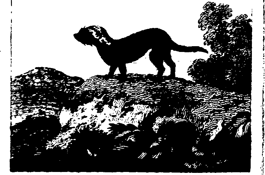 025/025430010602140_1.png