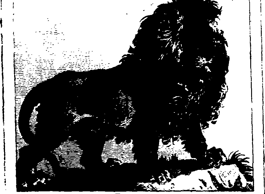 025/025430010603560_2.png