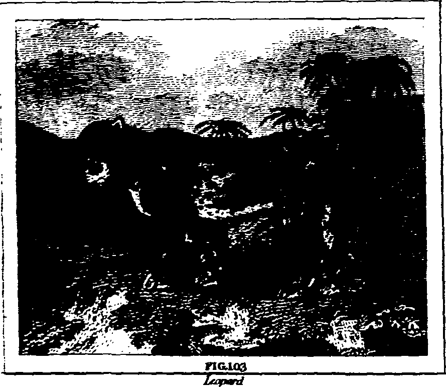 025/025430010700860_2.png