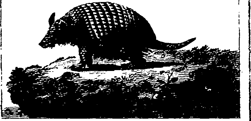 025/025430010702220_1.png