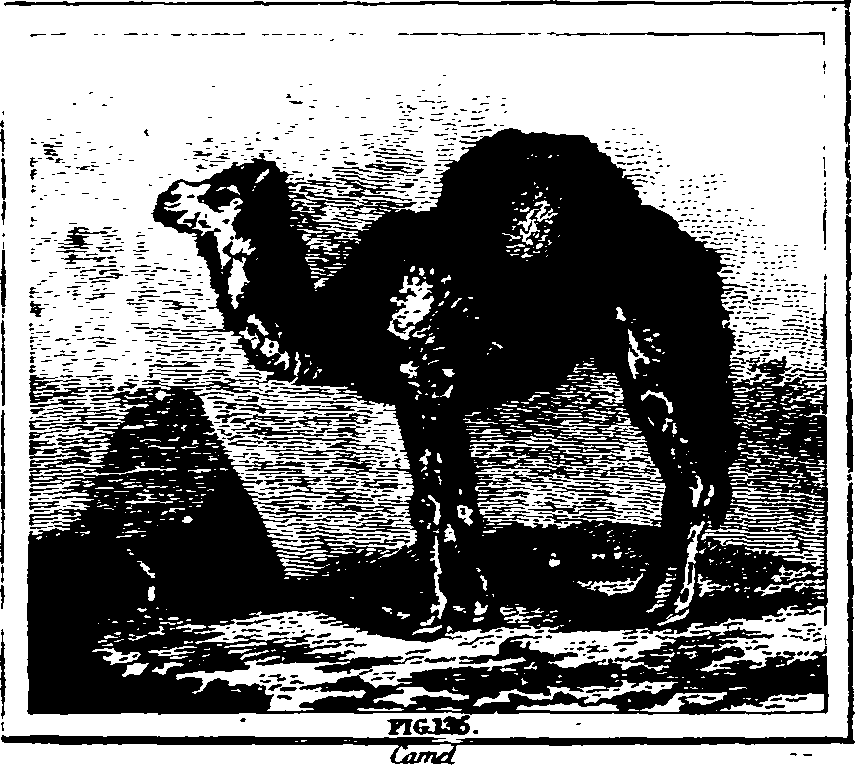 025/025440010800040_2.png