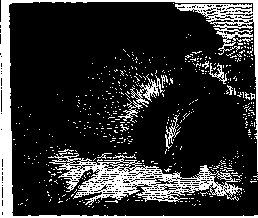 025/025440010802630_1.png