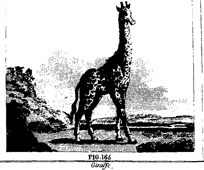 025/025440010802780_1.png