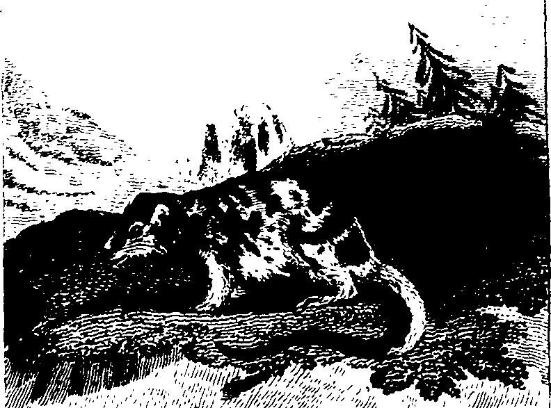 025/025440010803250_0.png