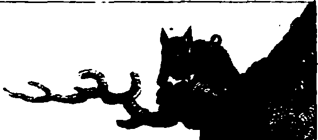 025/025440010900060_2.png