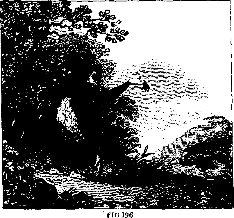 025/025440010901620_0.png