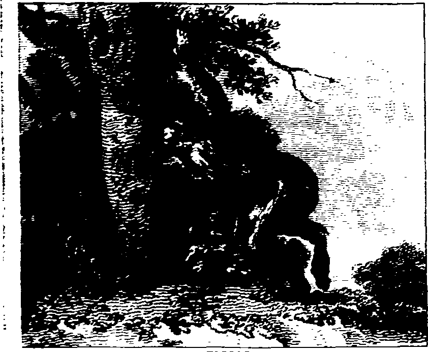 025/025440010902030_0.png