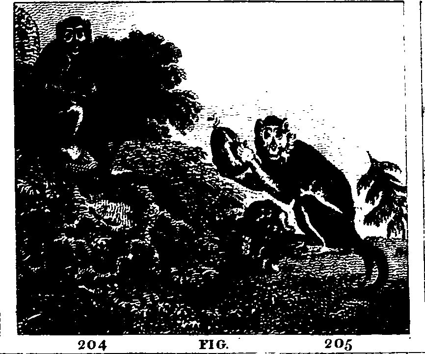 025/025440010902260_0.png