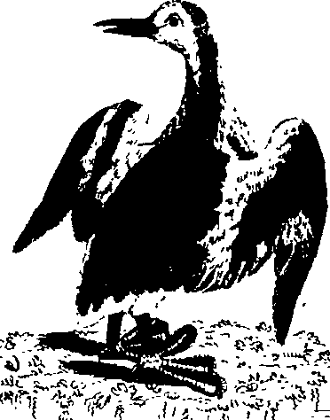 025/025470020004590_1.png
