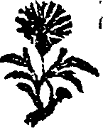025/025510050001070_0.png