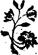 025/025510050001130_0.png
