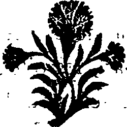 025/025510050001180_0.png