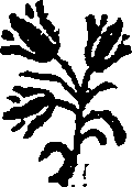 025/025510050001230_0.png