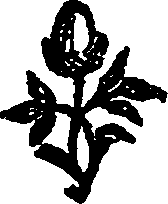 025/025510050001480_0.png
