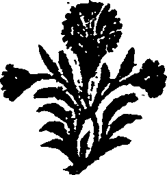 025/025510050001970_0.png