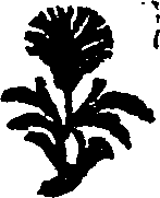025/025510050002040_0.png
