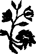 025/025510050002110_0.png