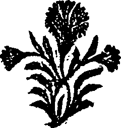 025/025510050003040_0.png