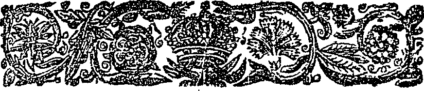 025/025520020002590_1.png