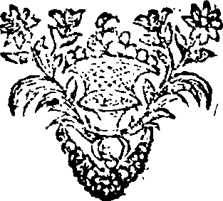 025/025530050000380_0.png