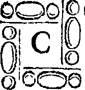 025/025530050002770_0.png