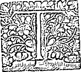 025/025630010304960_2.png