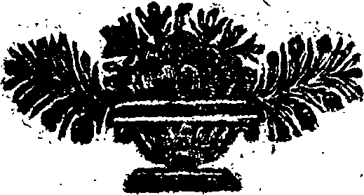 025/025720020000010_0.png