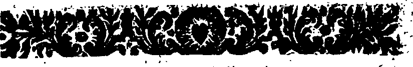 025/025840080001160_0.png