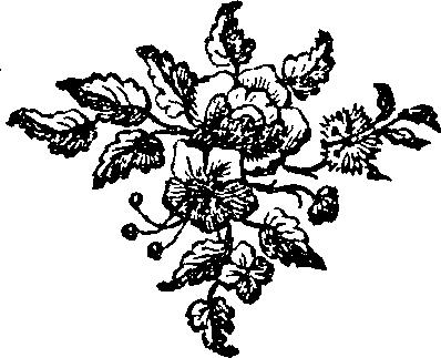 025/025900010000870_0.png