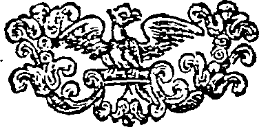 025/025960020003910_0.png