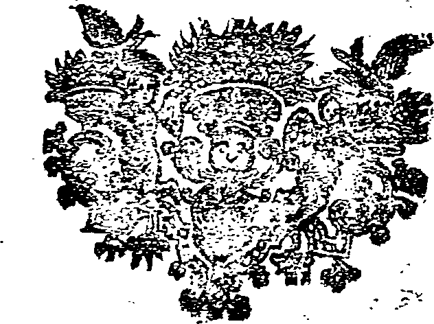 025/025960090000810_0.png