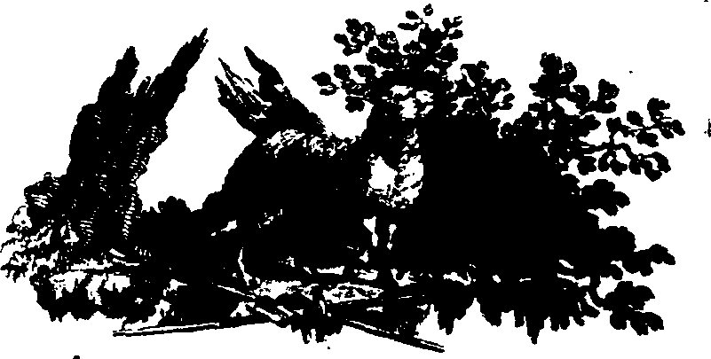 026/026050020100010_0.png