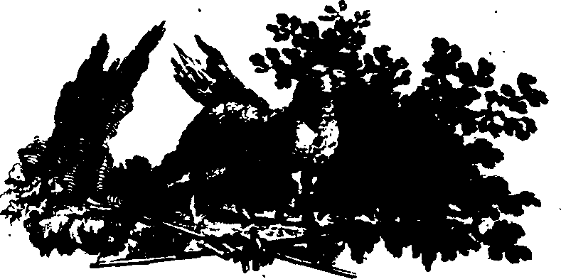 026/026050020200010_0.png