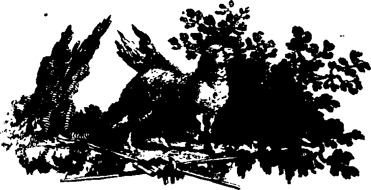 026/026050020300010_0.png
