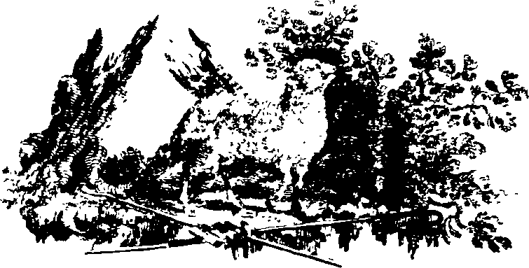 026/026050020400010_0.png