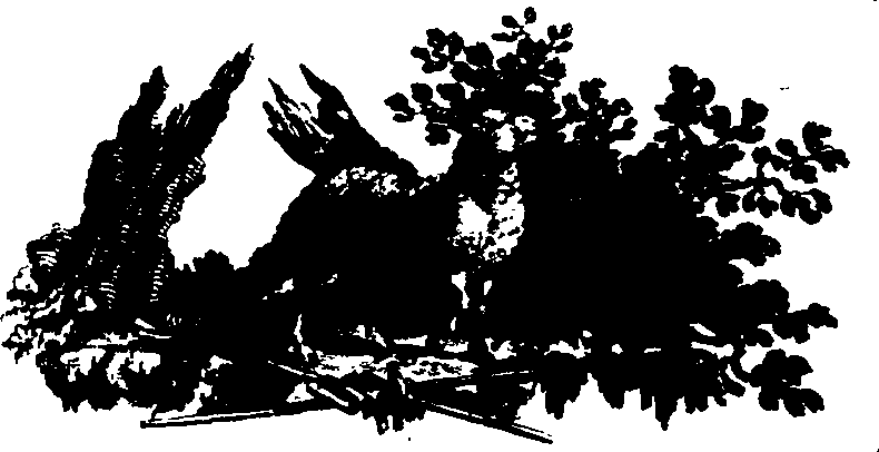 026/026050020500010_0.png