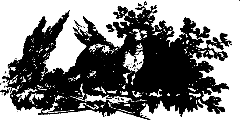 026/026050020600010_0.png