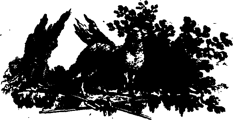 026/026060010700010_0.png