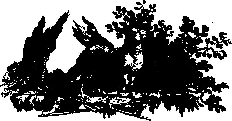 026/026060010800010_0.png