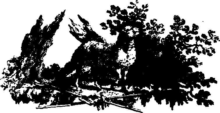 026/026060010900010_0.png