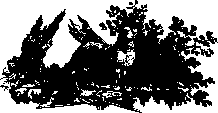 026/026060011000010_0.png