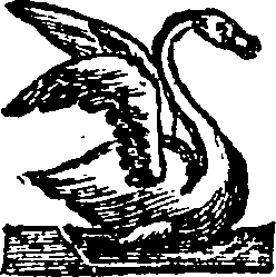 026/026170240000050_0.png