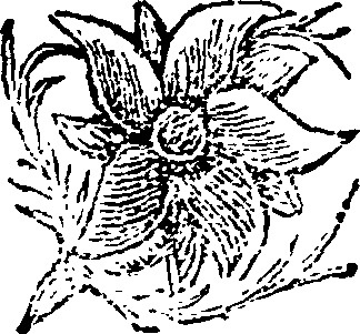 026/026240030001250_0.png