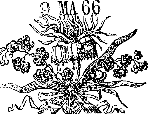026/026700040001810_0.png