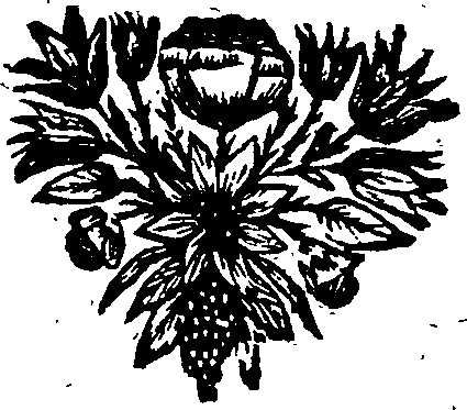 027/027040090000120_0.png