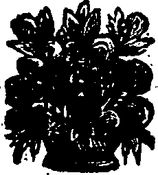 027/027040120000410_0.png